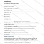 Version détaillée — page 1