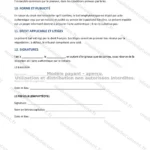 Version détaillée — page 3