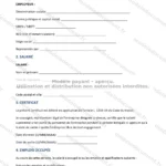 Version détaillée — page 1
