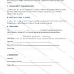 Version détaillée — page 3