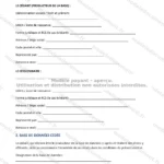 Version détaillée — page 1