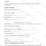 Version détaillée — page 1
