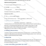 Version détaillée — page 3