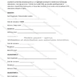 Version détaillée — page 1