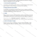 Version détaillée — page 3