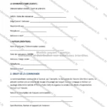 Version détaillée — page 1