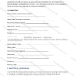 Version détaillée — page 1