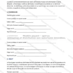 Version détaillée — page 1