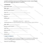 Version détaillée — page 1