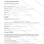 Version détaillée — page 1