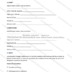 Version détaillée — page 1