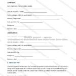 Version détaillée — page 1