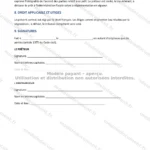Version détaillée — page 3
