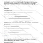 Version détaillée — page 1