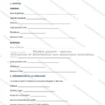 Version détaillée — page 1