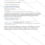 Version détaillée — page 3