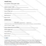 Version détaillée — page 1