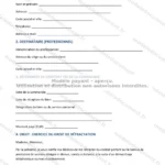 Version détaillée — page 1