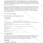 Version détaillée — page 1