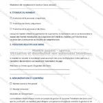 Version détaillée — page 2