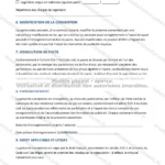 Version détaillée — page 3