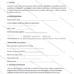 Version détaillée — page 1
