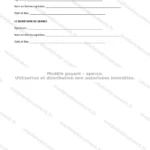 Version détaillée — page 3