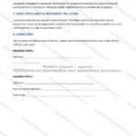 Version détaillée — page 3