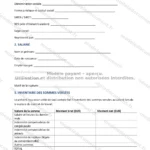 Version détaillée — page 1
