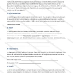 Version détaillée — page 1