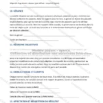 Version détaillée — page 3