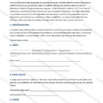 Version détaillée — page 1