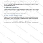 Version détaillée — page 4